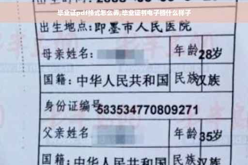 毕业证pdf格式怎么弄,毕业证书电子档什么样子