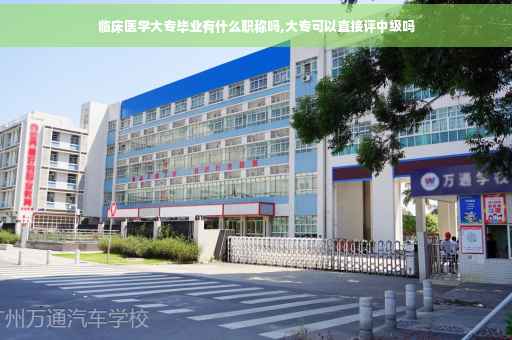 临床医学大专毕业有什么职称吗,大专可以直接评中级吗