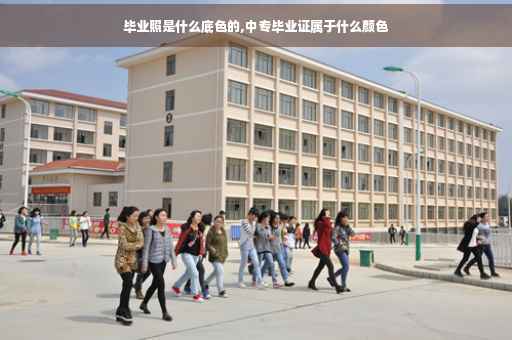毕业照是什么底色的,中专毕业证属于什么颜色