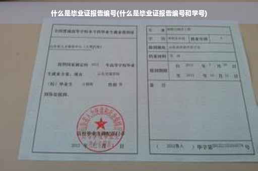 什么是毕业证报告编号(什么是毕业证报告编号和学号)