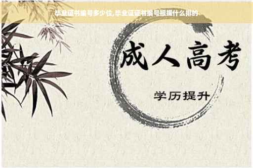 毕业证书编号多少位,毕业证证书编号根据什么排的