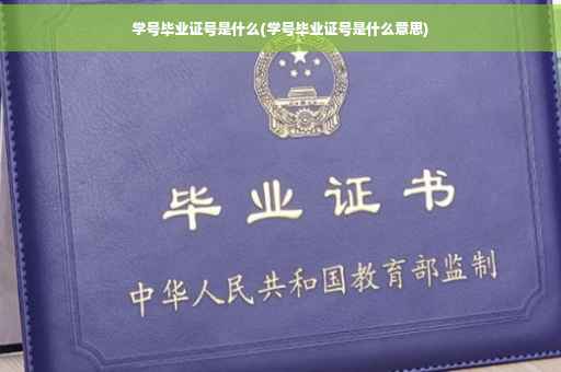 学号毕业证号是什么(学号毕业证号是什么意思)