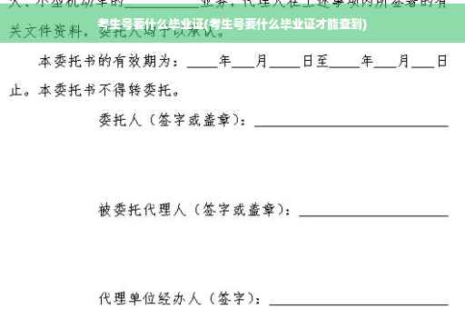 考生号要什么毕业证(考生号要什么毕业证才能查到)