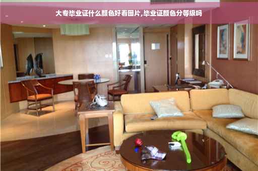 大专毕业证什么颜色好看图片,毕业证颜色分等级吗