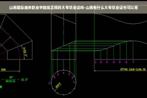山西国际商务职业学院是正规的大专毕业证吗-山西有什么大专毕业证书可以用