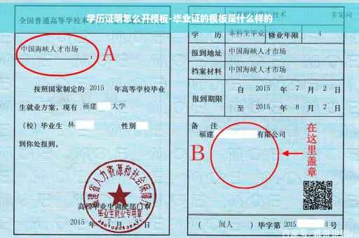 学历证明怎么开模板-毕业证的模板是什么样的