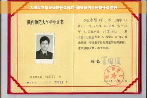 大理大学毕业证是什么样的-毕业证内页照是什么底色