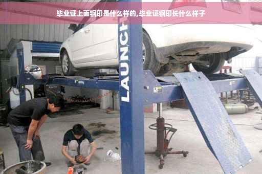 毕业证上面钢印是什么样的,毕业证钢印长什么样子