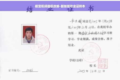 樟宜机场值机攻略-新加坡毕业证样本