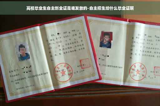 高校毕业生自主创业证是谁发放的-自主招生给什么毕业证啊