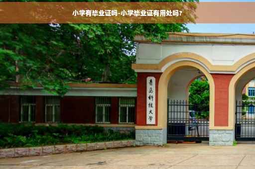 小学有毕业证吗-小学毕业证有用处吗?