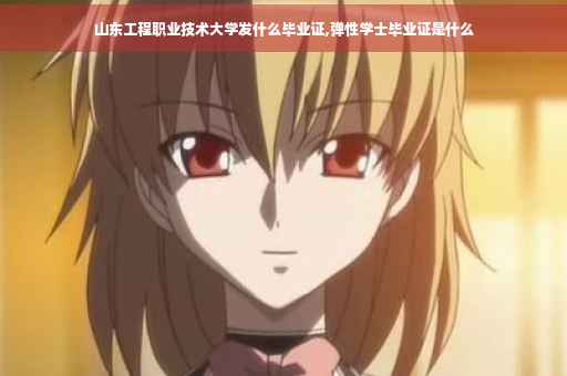 山东工程职业技术大学发什么毕业证,弹性学士毕业证是什么