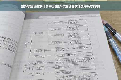 国外毕业证要求什么学历(国外毕业证要求什么学历才能拿)