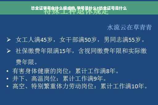 毕业证学号由什么组成的,学号是什么?毕业证号是什么