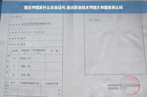 宿迁学院发什么毕业证书,宿迁职业技术学院大专国家承认吗