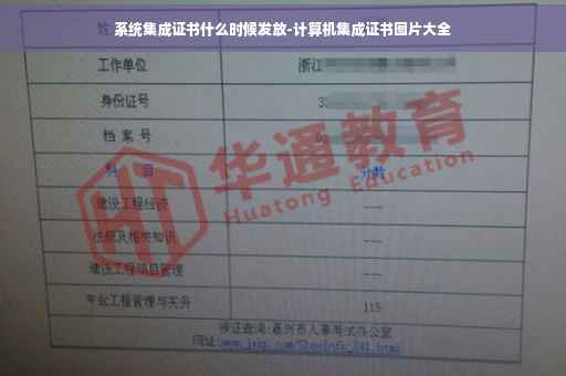 系统集成证书什么时候发放-计算机集成证书图片大全