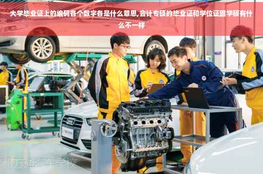 大学毕业证上的编码各个数字各是什么意思,会计专硕的毕业证和学位证跟学硕有什么不一样