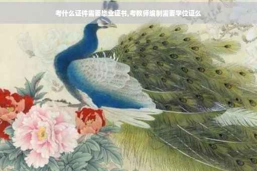 考什么证件需要毕业证书,考教师编制需要学位证么
