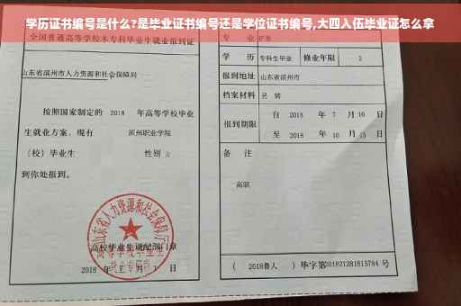 学历证书编号是什么?是毕业证书编号还是学位证书编号,大四入伍毕业证怎么拿
