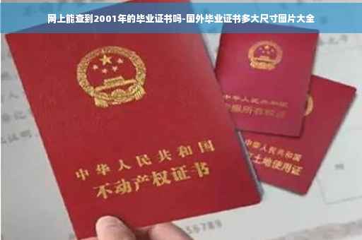 网上能查到2001年的毕业证书吗-国外毕业证书多大尺寸图片大全