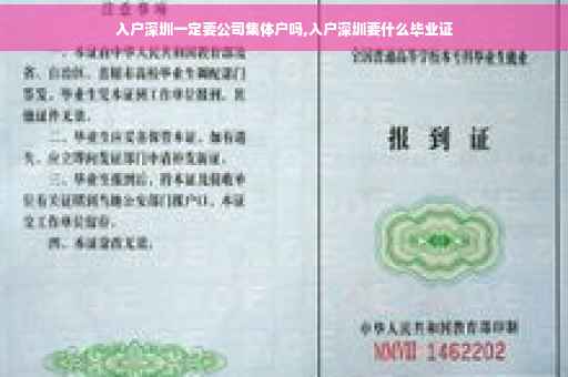 入户深圳一定要公司集体户吗,入户深圳要什么毕业证