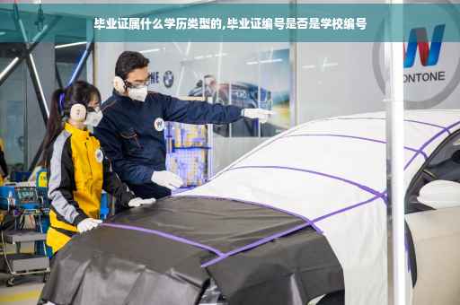毕业证属什么学历类型的,毕业证编号是否是学校编号