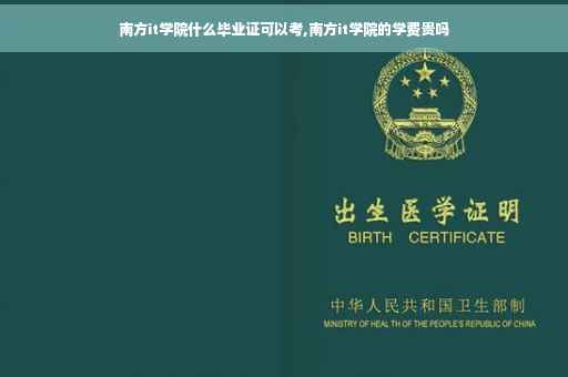 南方it学院什么毕业证可以考,南方it学院的学费贵吗