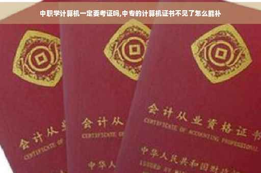 中职学计算机一定要考证吗,中专的计算机证书不见了怎么能补