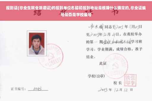 报到证(毕业生就业派遣证)的报到单位名称和报到地址是根据什么确定的,毕业证编号是否是学校编号