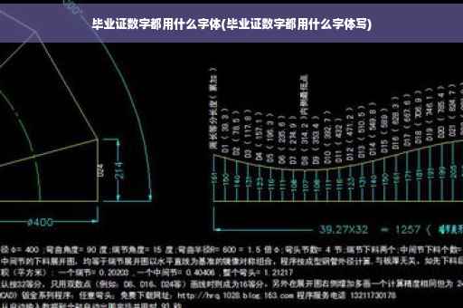 毕业证数字都用什么字体(毕业证数字都用什么字体写)