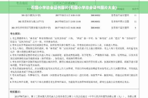 石园小学毕业证书图片(石园小学毕业证书图片大全)