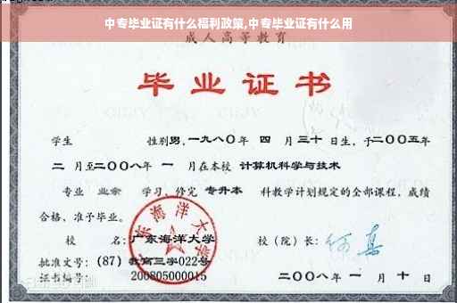 中专毕业证有什么福利政策,中专毕业证有什么用