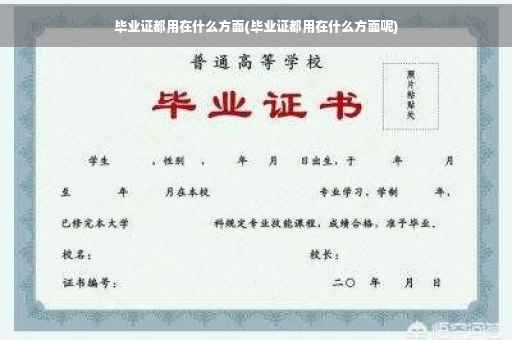 毕业证都用在什么方面(毕业证都用在什么方面呢)