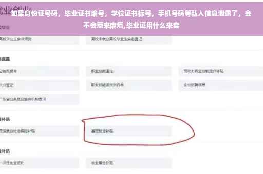 如果身份证号码，毕业证书编号，学位证书标号，手机号码等私人信息泄露了，会不会惹来麻烦,毕业证用什么来套