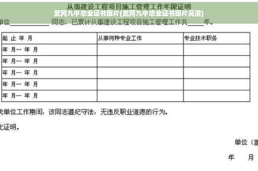 武冈九中毕业证书图片(武冈九中毕业证书图片高清)
