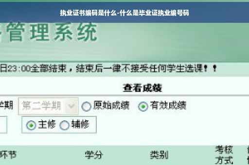 执业证书编码是什么-什么是毕业证执业编号码