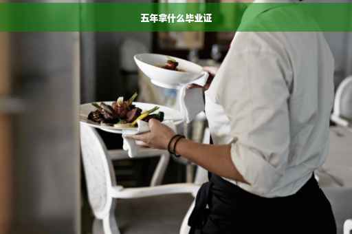 五年拿什么毕业证