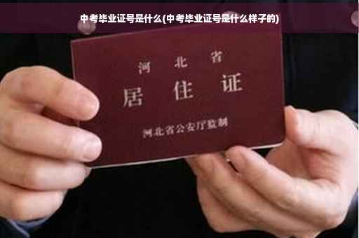 中考毕业证号是什么(中考毕业证号是什么样子的)