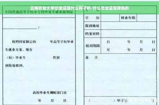 云南农业大学毕业证是什么样子的-什么毕业证是绿色的