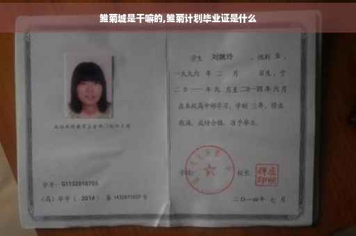雏菊城是干嘛的,雏菊计划毕业证是什么