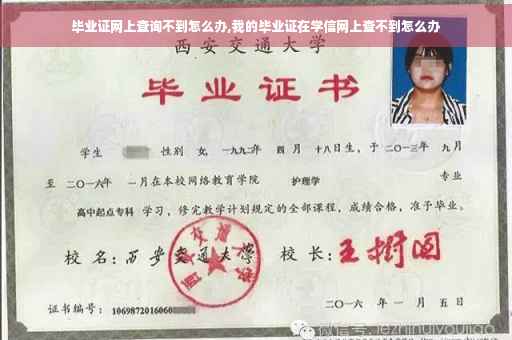 毕业证网上查询不到怎么办,我的毕业证在学信网上查不到怎么办