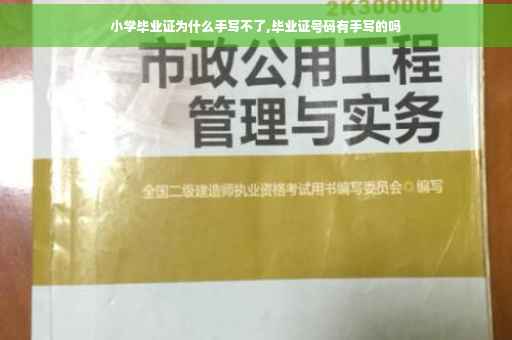 小学毕业证为什么手写不了,毕业证号码有手写的吗