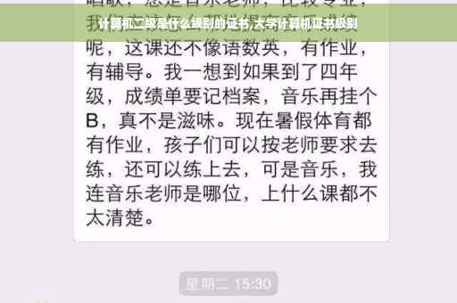 计算机二级是什么级别的证书,大学计算机证书级别