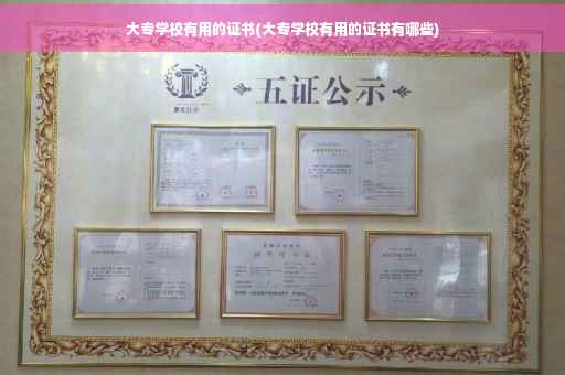 大专学校有用的证书(大专学校有用的证书有哪些)