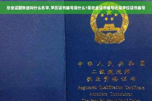 毕业证那张纸叫什么名字,学历证书编号是什么?是毕业证书编号还是学位证书编号