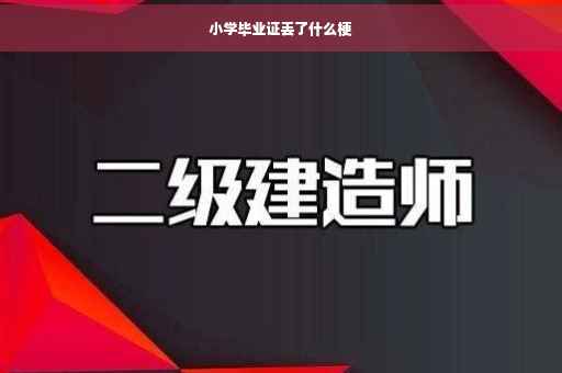 小学毕业证丢了什么梗