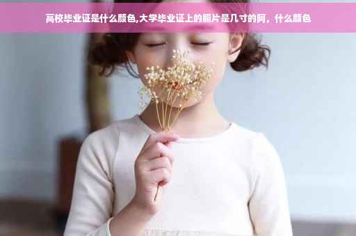 高校毕业证是什么颜色,大学毕业证上的照片是几寸的阿，什么颜色