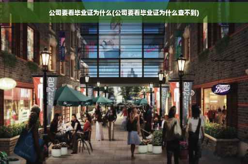 公司要看毕业证为什么(公司要看毕业证为什么查不到)