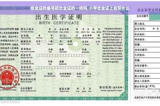 结业证的编号和毕业证的一样吗,小学毕业证上会写什么