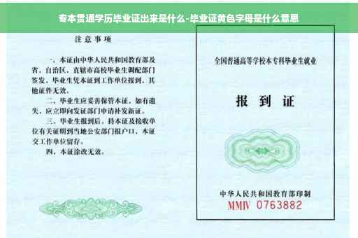 专本贯通学历毕业证出来是什么-毕业证黄色字母是什么意思